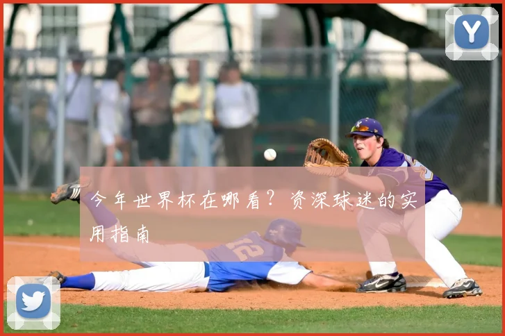 今年世界杯在哪看？资深球迷的实用指南