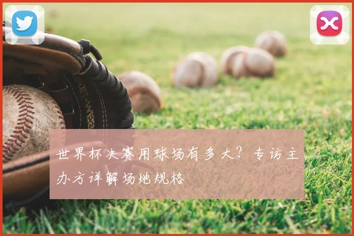 世界杯决赛用球场有多大?专访主办方详解场地规格