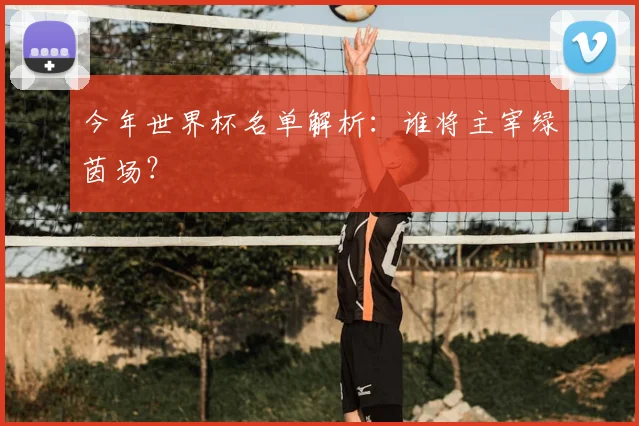 今年世界杯名单解析:谁将主宰绿茵场?