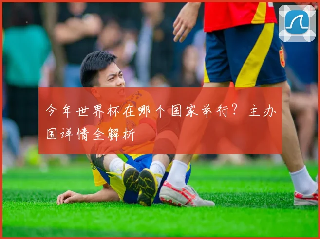 今年世界杯在哪个国家举行？主办国详情全解析