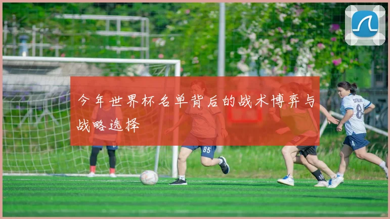 今年世界杯名单背后的战术博弈与战略选择