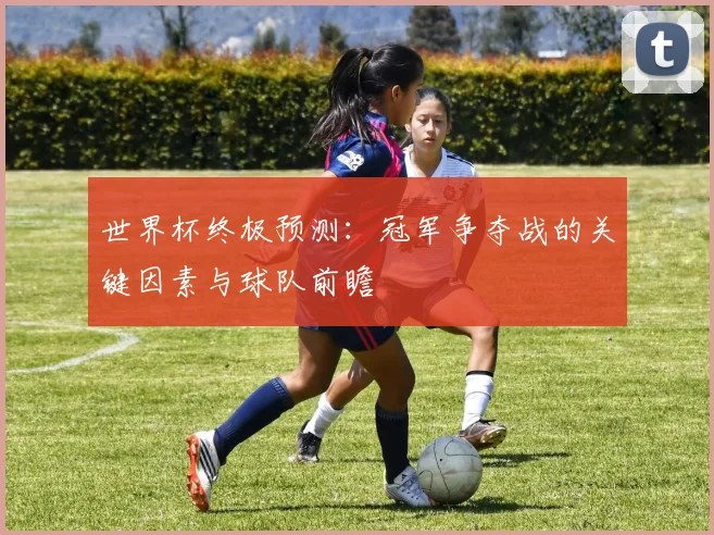 世界杯终极预测：冠军争夺战的关键因素与球队前瞻