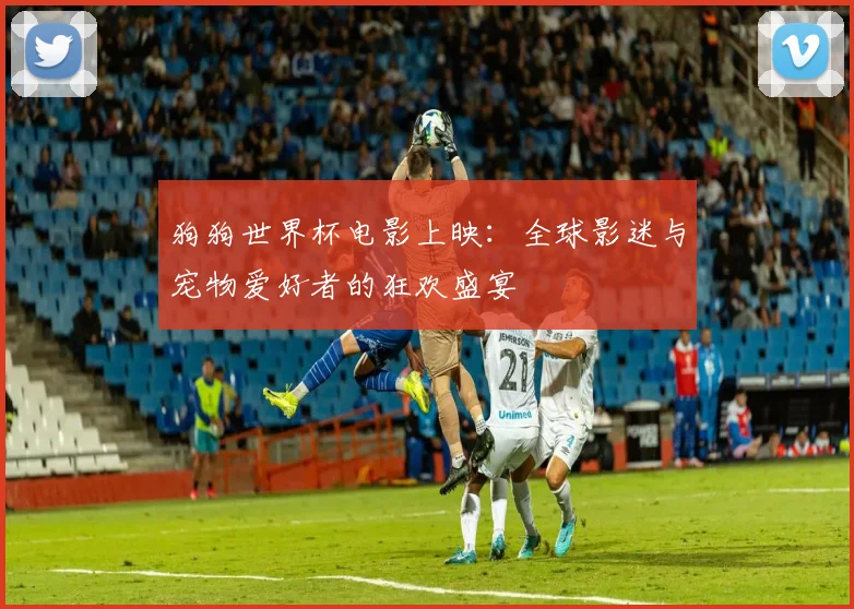 狗狗世界杯电影上映：全球影迷与宠物爱好者的狂欢盛宴