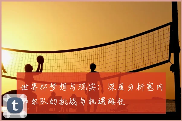 世界杯梦想与现实：深度分析塞内加尔队的挑战与机遇路径