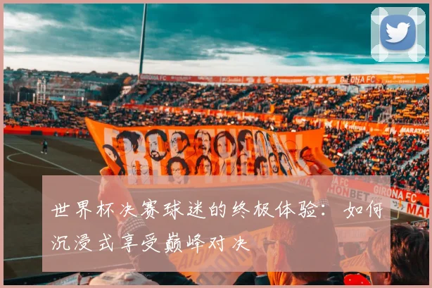 世界杯决赛球迷的终极体验:如何沉浸式享受巅峰对决