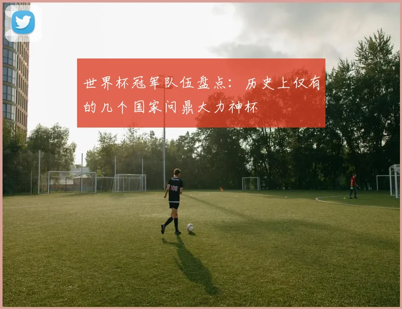 世界杯冠军队伍盘点：历史上仅有的几个国家问鼎大力神杯