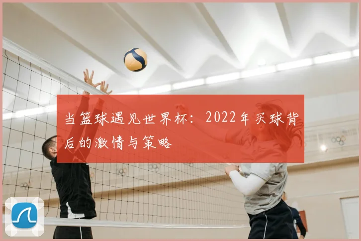 当篮球遇见世界杯：2022年买球背后的激情与策略