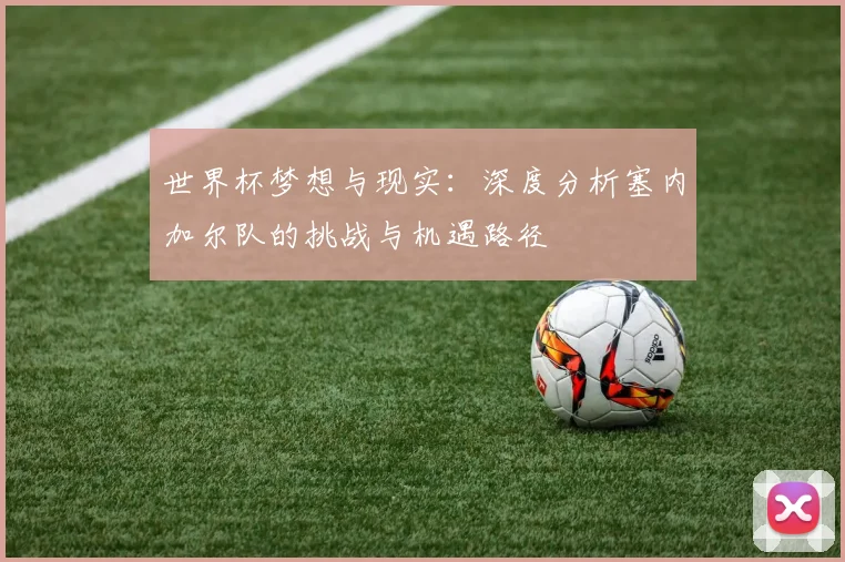 世界杯梦想与现实：深度分析塞内加尔队的挑战与机遇路径