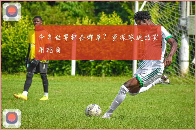 今年世界杯在哪看?资深球迷的实用指南
