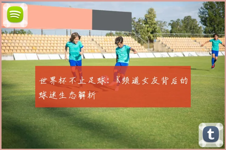世界杯不止足球：K频道女友背后的球迷生态解析