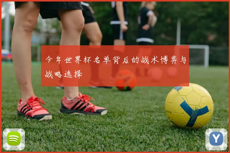 今年世界杯名单背后的战术博弈与战略选择